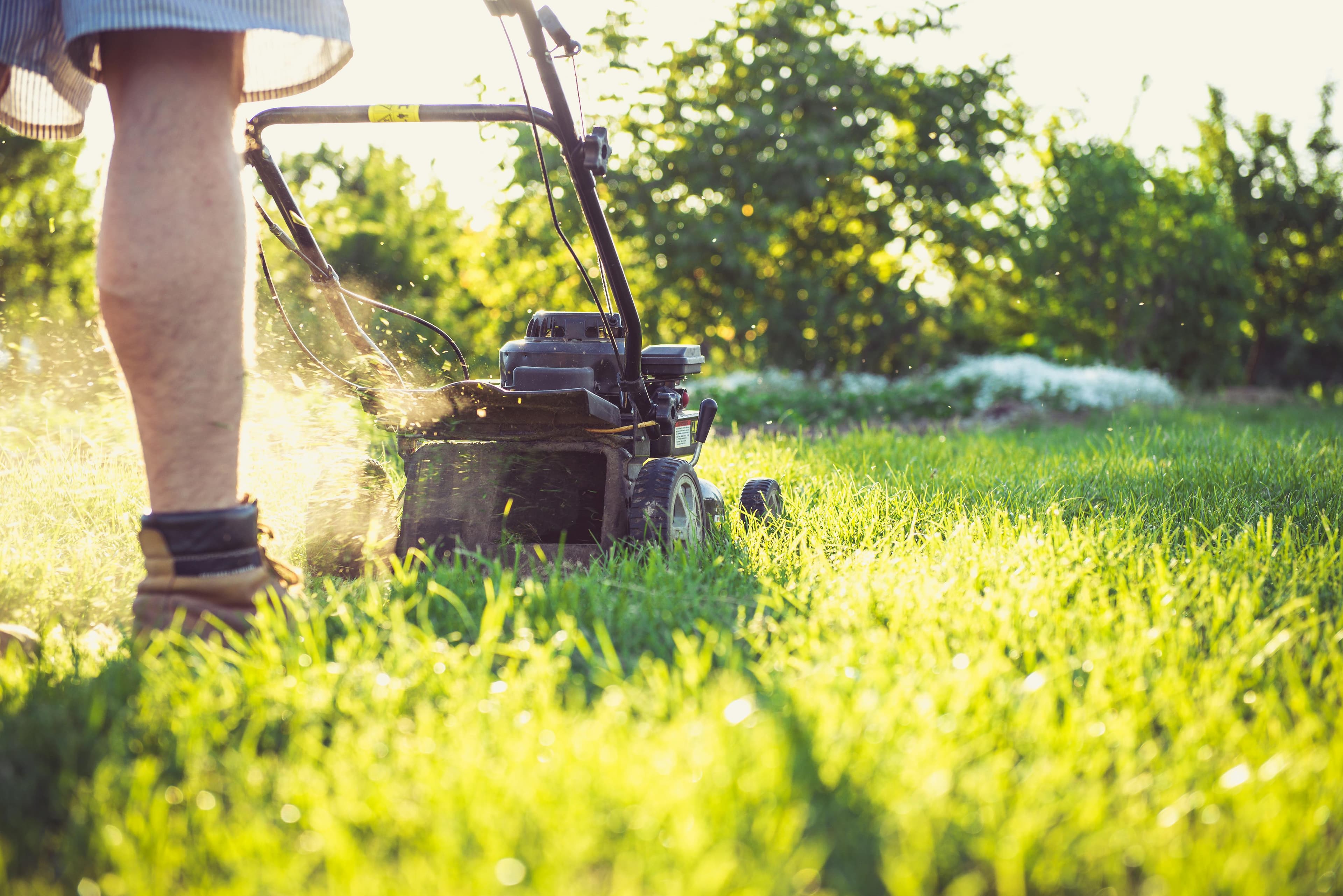 Yard Work